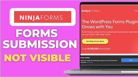 Why Ninja Forms Submissions Are Not Visible  Fix Guide