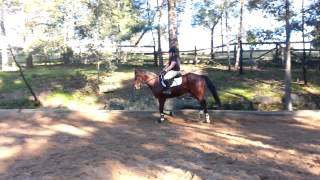 Nemo canter left
