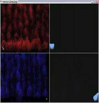 Particle flow warping - animation interpolation