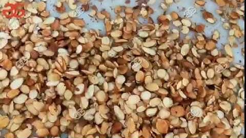 Roasted Almond Slice Cutting Machine - Peanut Almond Slicing Machine