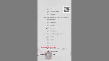 PPU UG Regular Sem-1 PYQ 2023 (MDC1: Multi Disciplinary Course) English #ppu#ugsem1#pyq#exam#ppuexam