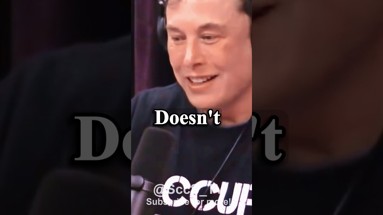 The Purposes Of Neuralink Brain Chips And AI Extension Elonmusk