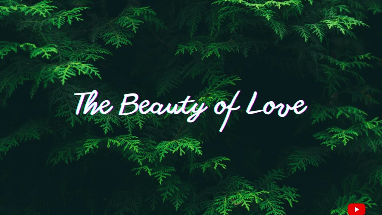 Calm Down And Relax😮‍💨 || The Beauty of Love [ 1 hour ] - Aakash Gandhi