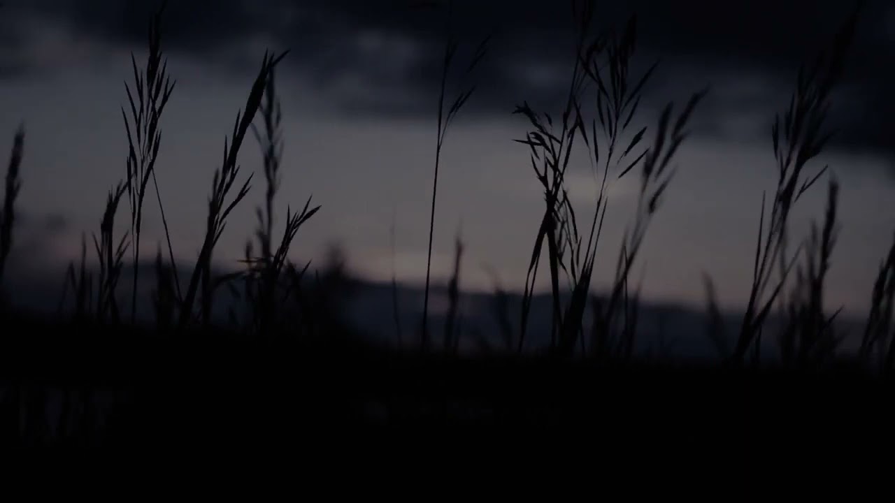 Полночь оплачет холодной росою ... (Исп. Александр Слепнёв, авт. Тэм Гринхилл).