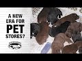 A NEW ERA FOR PET STORES? A NEW ERA FOR PET STORES?