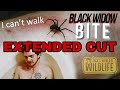 Black Widow BITE! The EXTENDED CUT