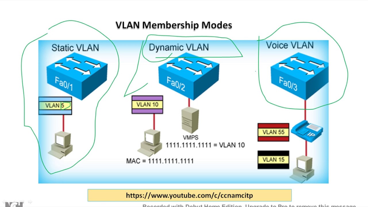 Voice vlan. Алгоритмы VLAN. VLAN картинки. Схема VLAN. Виртуальная сеть VLAN.