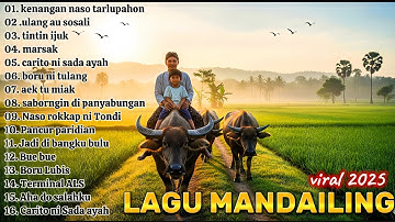 Manjojor ke desa HUTA NAMALE | Lagu mandailing VIRAL 2025 paling enak diputar waktu manyabi 