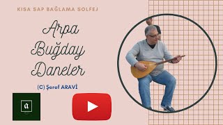 #66 Arpa Buğday Daneler Solfej