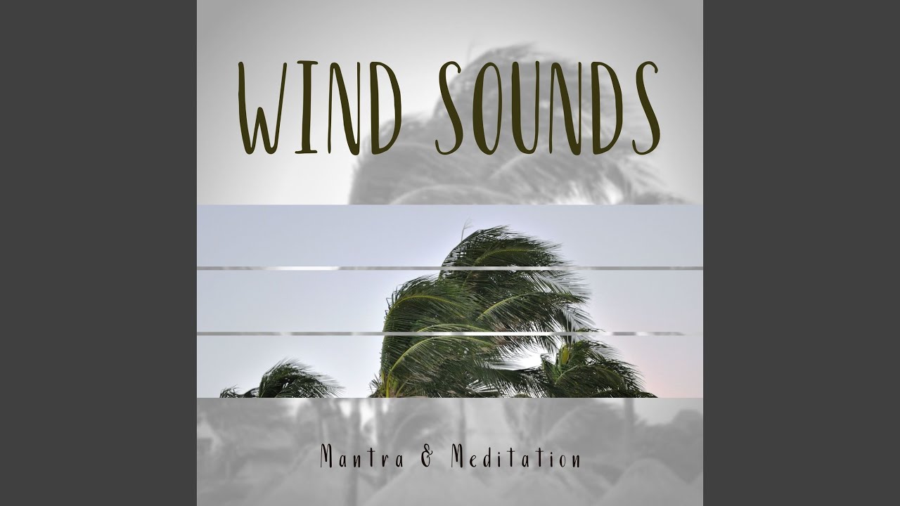 Watch Wind Relaxation on YouTube Watch Wind Relaxation on YouTube