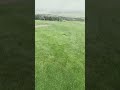 Golf ⛳️