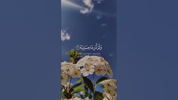 تلاوه من سورة الحاقه|بصوت الشيخ محمد اللحيدان🎧✨ #quran #trending #راحة_نفسية #قرآن #قران_كريم