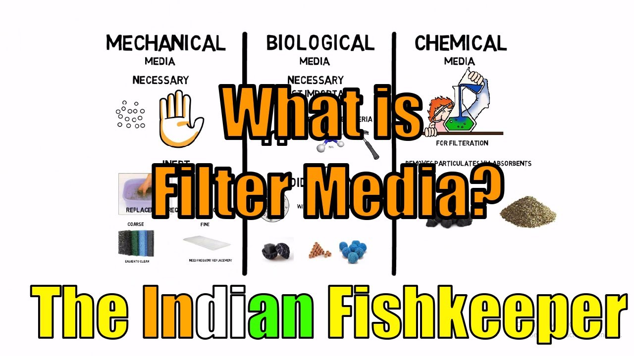 A Beginner's Guide to Filter Media - Mechanical, Chemical, and