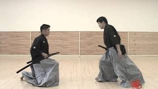 E-BOGU KENDO PRINCIPLES V - Nippon Kendo Kata DVD