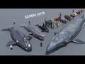 Mammal size comparison 3d  3d animation size comparison