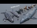 Mammal Size comparison 3D | 3d Animation Size Comparison