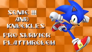 Мульт Sonic 3 Knuckles Pro Survior Playthrough Sonic Tails