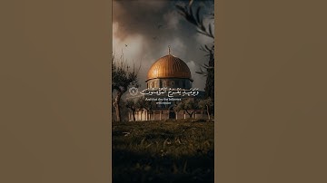ويومئذ يفرح المؤمنون بنصر الله | سورة الروم #قران_كريم #سورة_الروم #نصر_من_الله_وفتح_قريب #quran