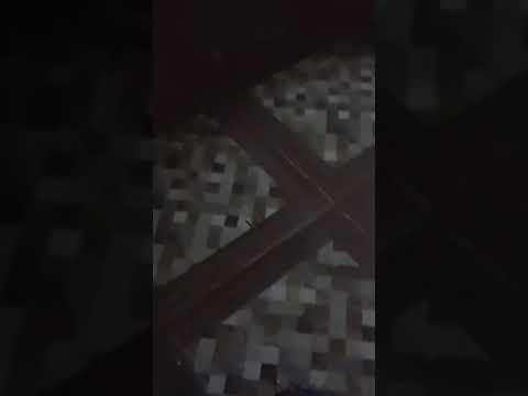 مسلسل موسي الحلقه  الثانيه رمضان 