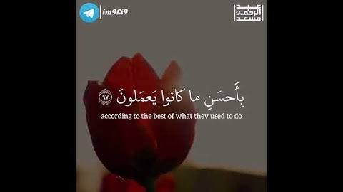 القران الكريم بصوت عبد الرحمن مسعد2021