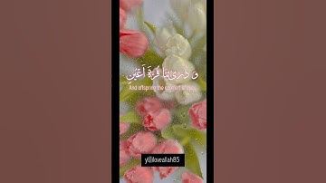 ما تيسر من سوره الفرقان #تلاوة_خاشعة #قرآن #سلف #سورة_الفرقان #اكسبلور #دعاء 🤲🏻✨ @Iloveallah85
