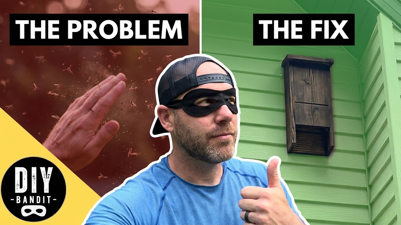 🔥 How to Make a DIY Bat House Build | A Natural Way to Get Rid of Mosquitoes