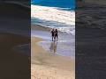 May 16, 2026 She’s a Beauty at The Beach NorCal Santa Cruz CA #socal #cute #girls #atthebeach