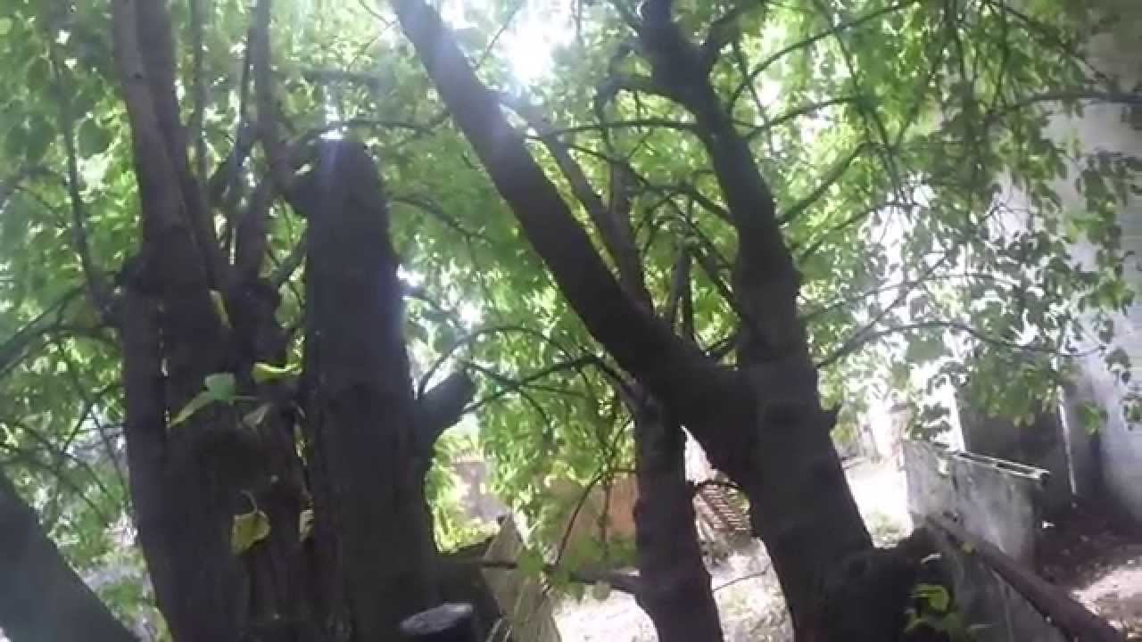 Kosovo Training Los Cuervos Paintball Team YouTube