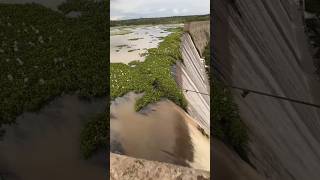 El Hombre Que Liberó Toda el Agua de la Presa por un Solo Error