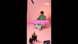 Our Puppies Are Too Wild For Eric Nam 😂 Puppy Interview Drops 10/31!