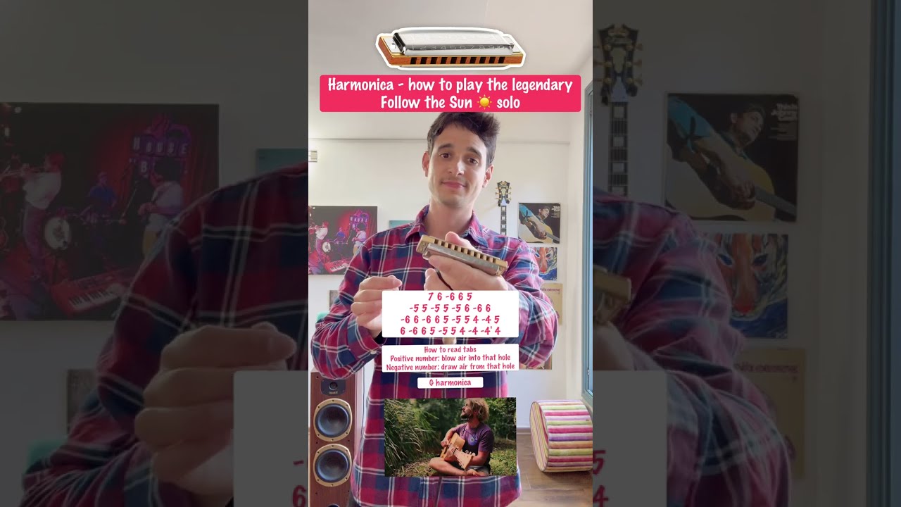 Harmonica: How to play FOLLOW THE SUN ☀️