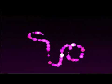 OpenFrameworks Playtime