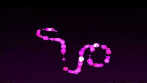 OpenFrameworks Playtime