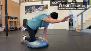 Bosu Bird Dog exercise #wrighttraining