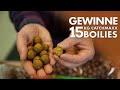 15 Kg würzige Boilies zu gewinnen! Die MaxxSpice Range im Unboxing