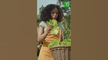 Tiny Bubbles : Nanobubbles in Small Agribusiness #NanobubbleTech #AgriBusiness  #HyperEffects