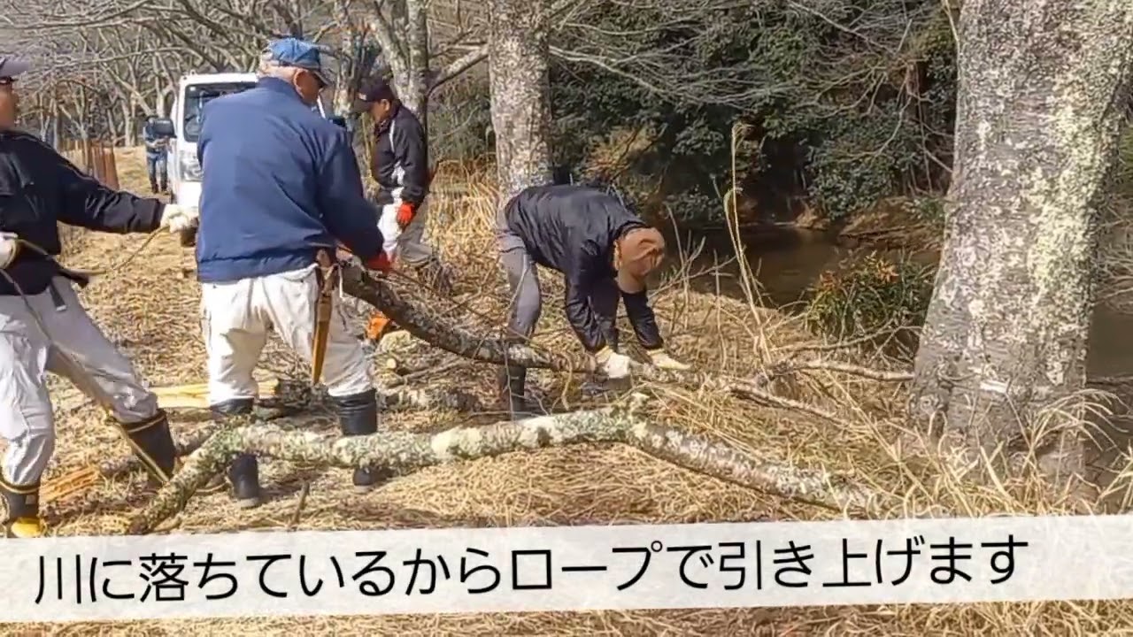 頑張っているおじさん達パート82　桜の整備令和8年版