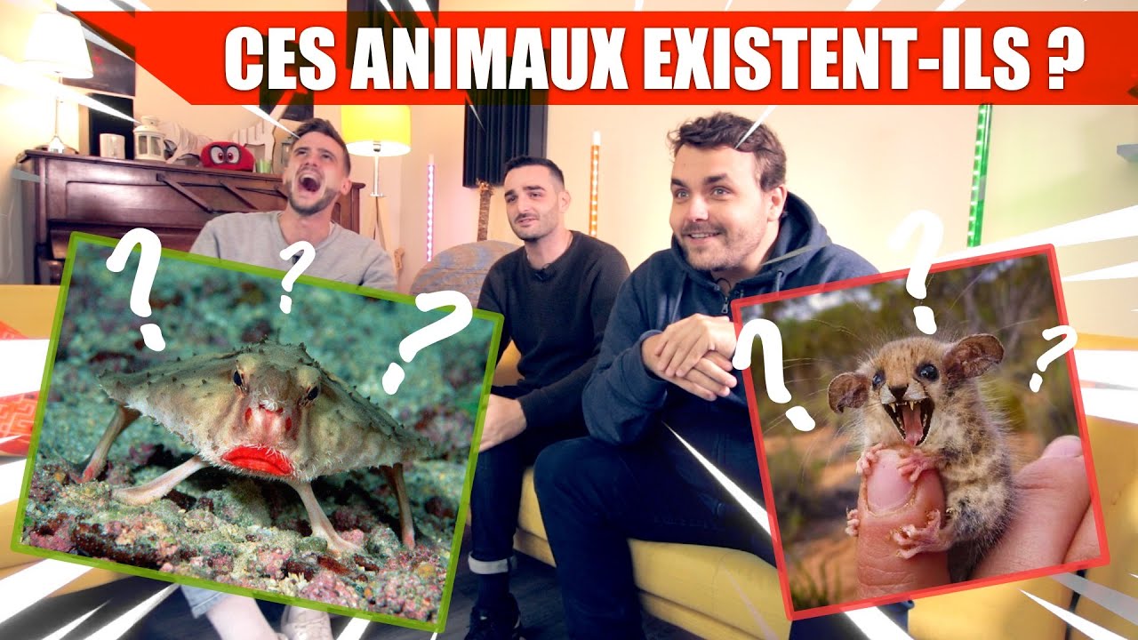 CES ANIMAUX EXISTENT-ILS ? (en tout cas ils sont très très moches)