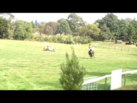 alycia burton facebook CLASSIC RANSOM 2STAR EVENTER 4 SALE