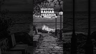 Serdar Ortaç &Burak Bulut Yasemin Resimi