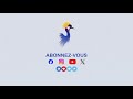 🔴المنتدى الإفريقي للمياه