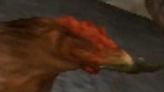 ＣＨＩＣＫＥＮ ＧＡＮＧ