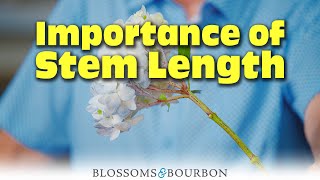 Importance of Stem Length | Episode 7 of Two Minute Tuesdays with Blossoms and Bourbon