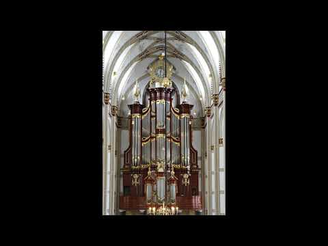 Sint Maartenskerk Zaltbommel : Daar juicht een toon.