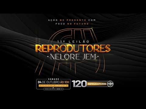 LOTE 132   AMJM 832