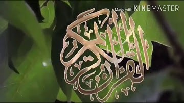 تلاوة هادئة خاشعة