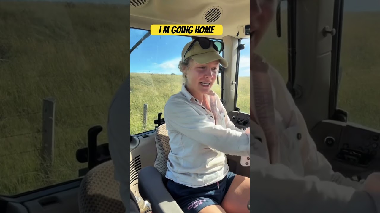 Я иду домой