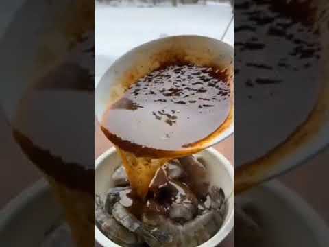   صلوا على النبي ماهر زين   رحمة للعالمين جمبري