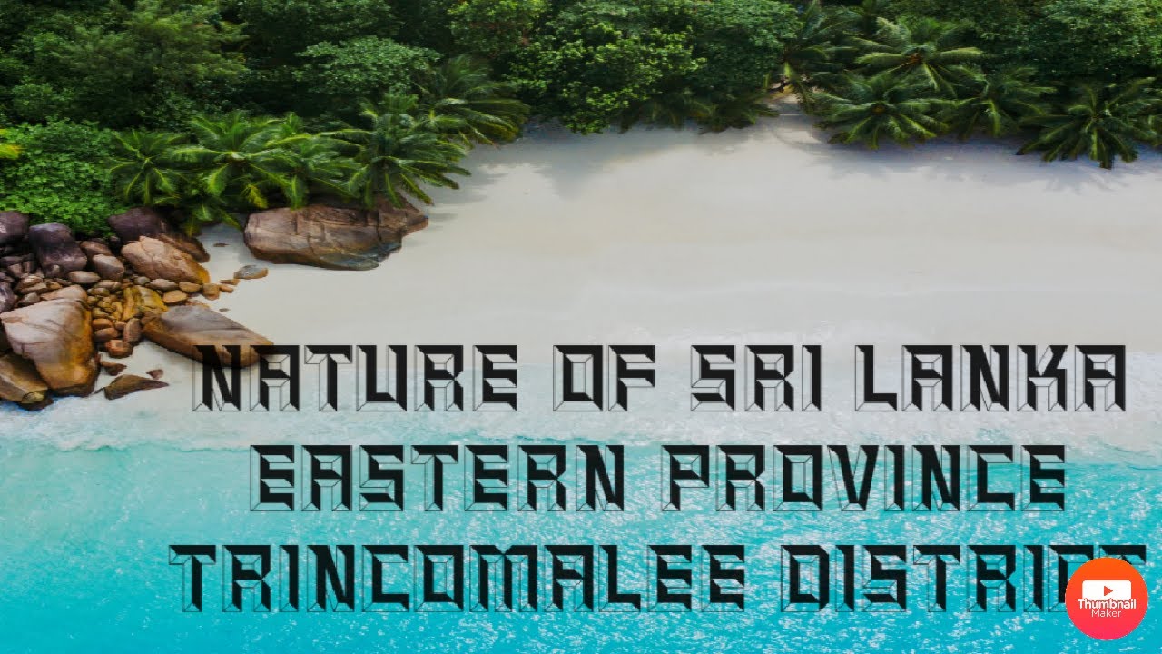 Nature of Sri Lanka ❤️ ( Eastern province ) [trincomalee district]