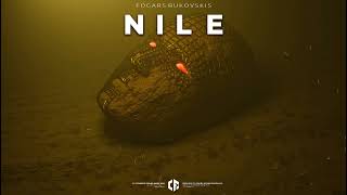 Edgars Bukovskis - Nile